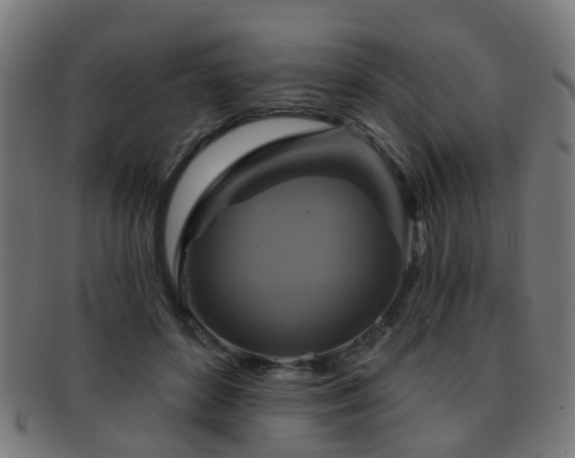 X0000091890504200709051346