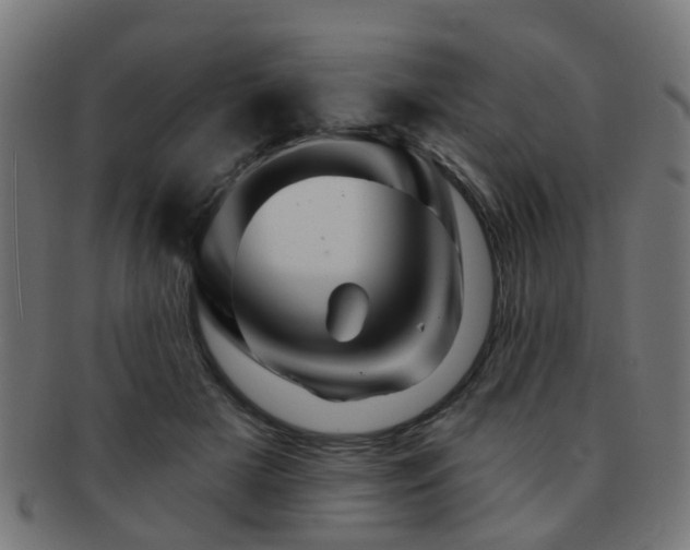 X0000091890505200709051346