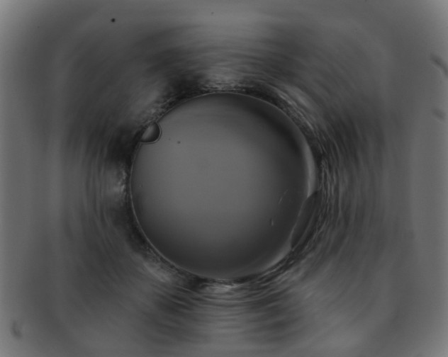 X0000091890507200709051346