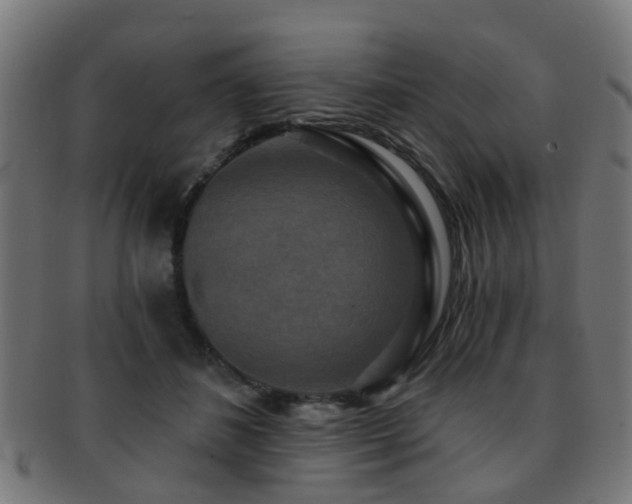 X0000091890508200709051346