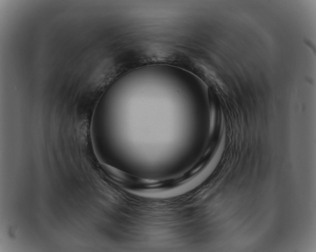 X0000091890509200709051346