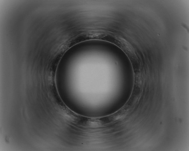 X0000091890510200709051346