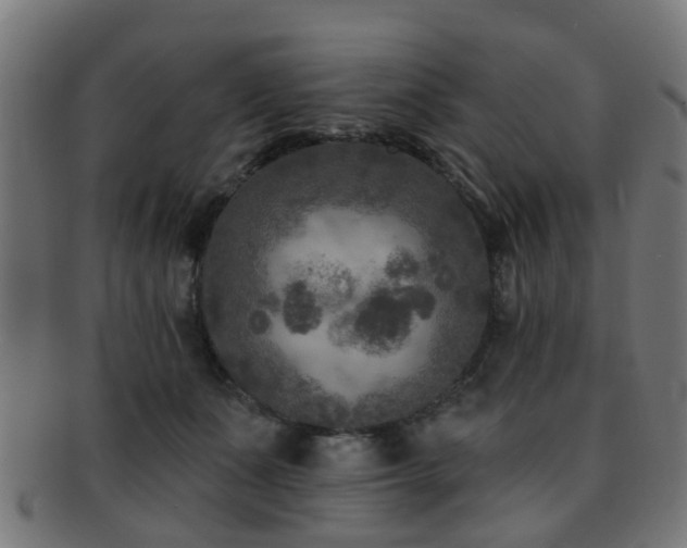 X0000091890511200709051346