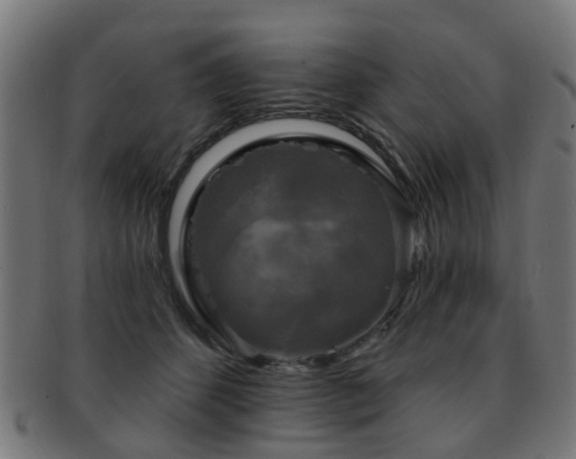 X0000091890512200709051346