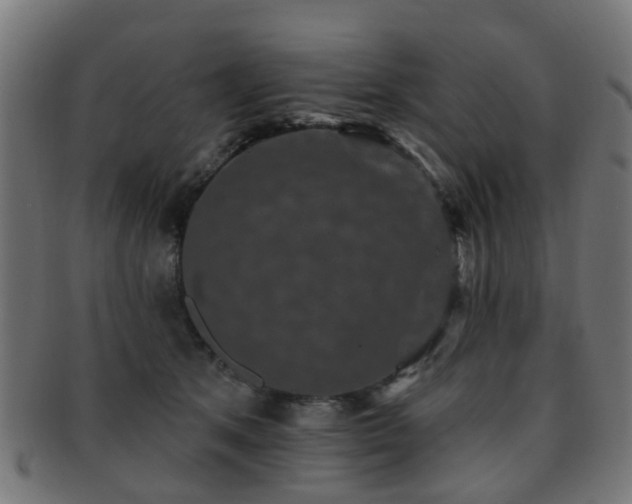 X0000091890513200709051346