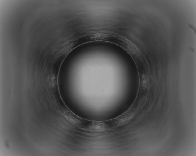 X0000091890514200709051346