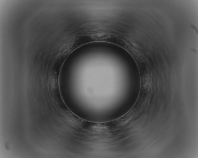 X0000091890515200709051346