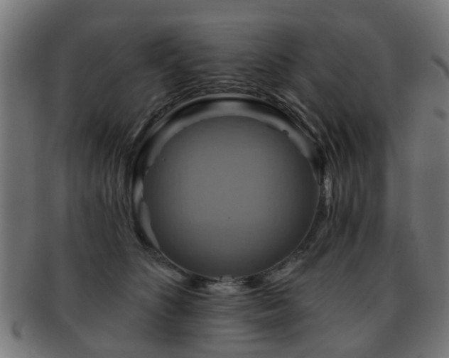 X0000091890516200709051346