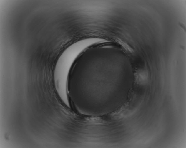 X0000091890517200709051346