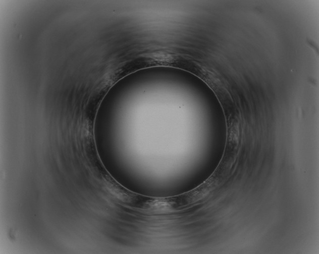 X0000091890518200709051346