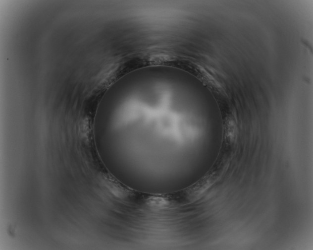 X0000091890519200709051346