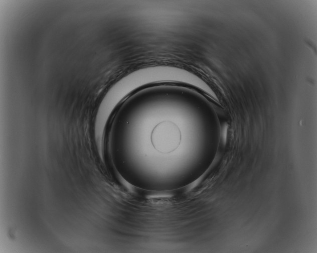 X0000091890520200709051345