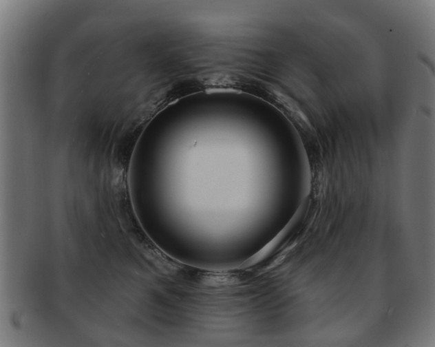 X0000091890521200709051345