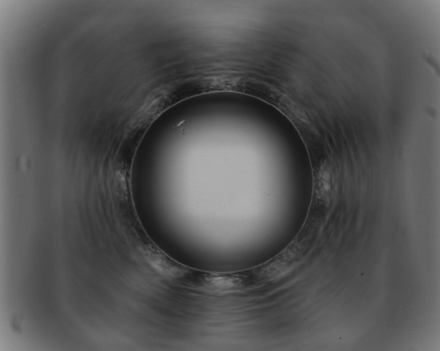 X0000091890522200709051345