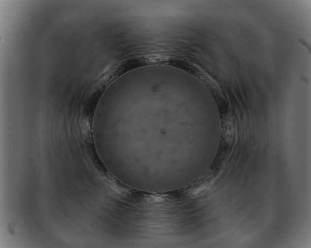 X0000091890523200709051345