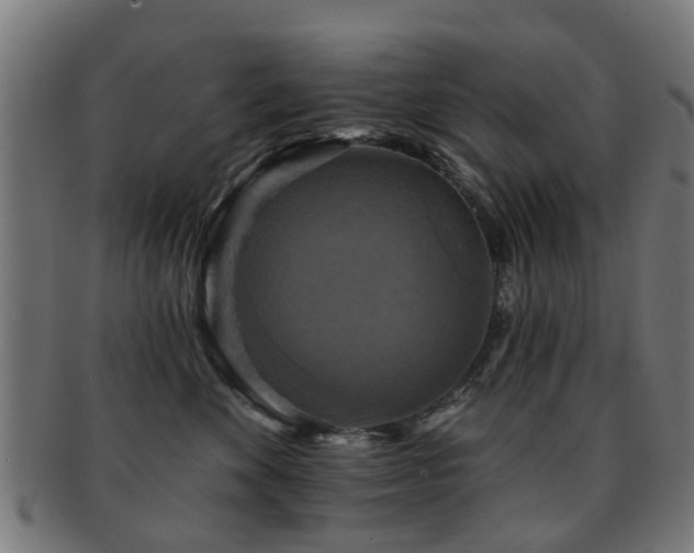 X0000091890524200709051345