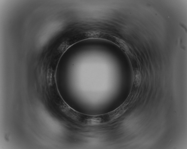 X0000091890525200709051345