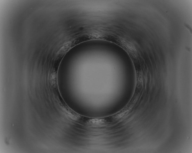 X0000091890526200709051345