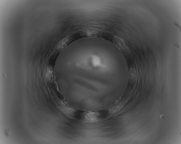 X0000091890527200709051345