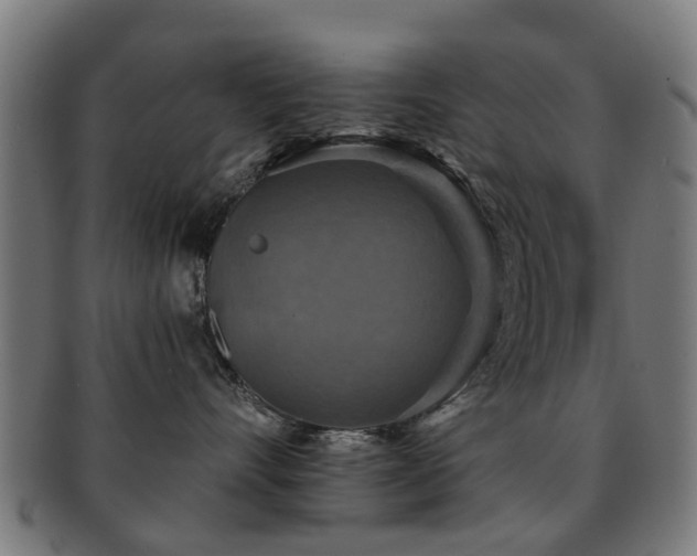 X0000091890528200709051345