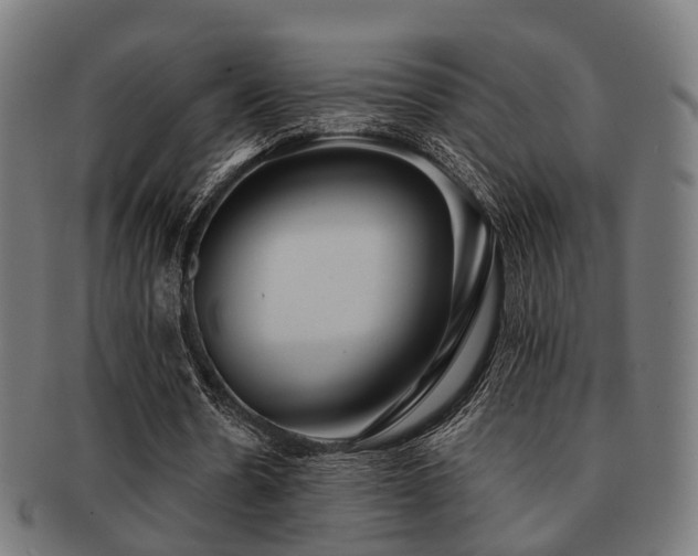 X0000091890530200709051345
