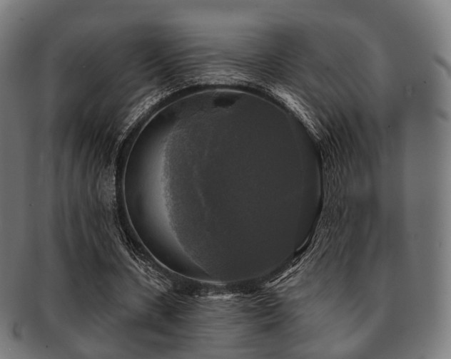 X0000091890531200709051345