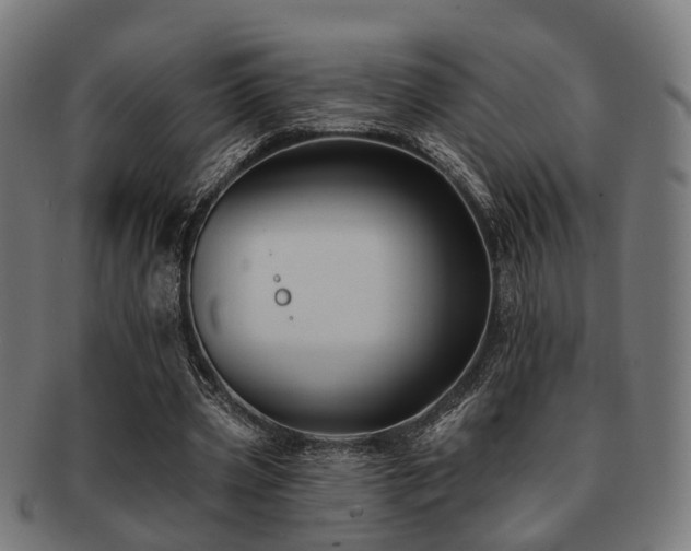 X0000091890533200709051345