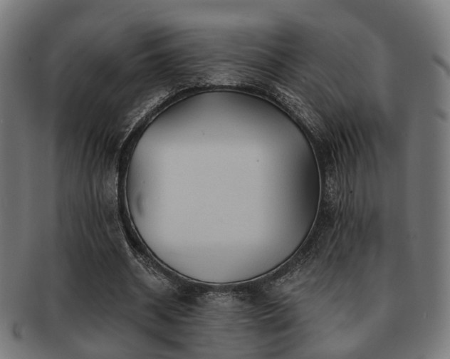 X0000091890534200709051345