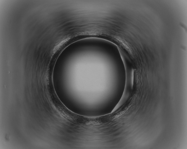 X0000091890536200709051345