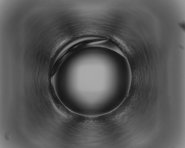 X0000091890538200709051345