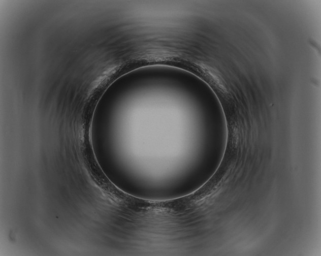 X0000091890539200709051345