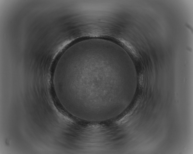 X0000091890540200709051345