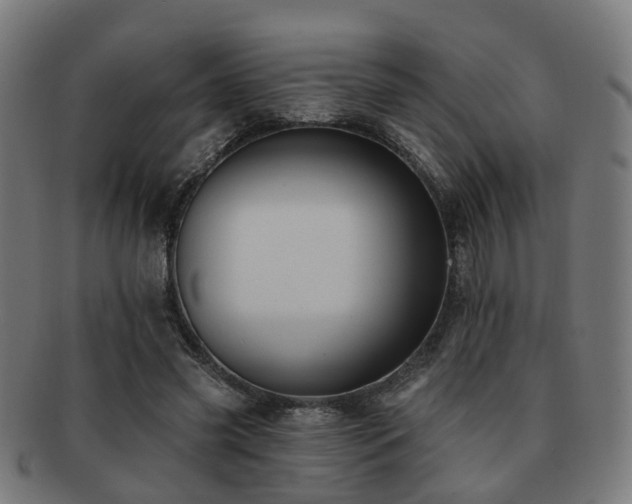 X0000091890541200709051345
