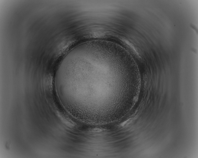 X0000091890542200709051345