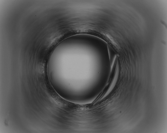 X0000091890543200709051345
