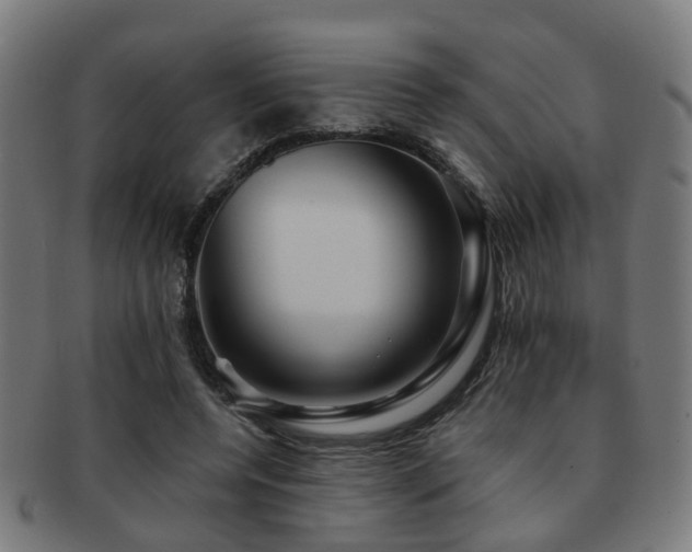 X0000091890544200709051345
