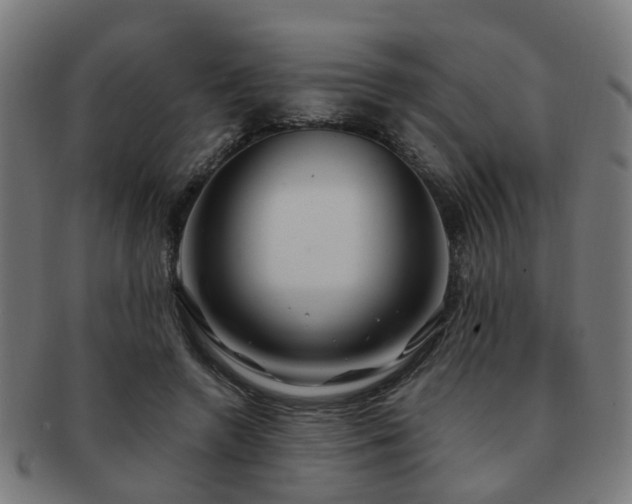X0000091890546200709051345