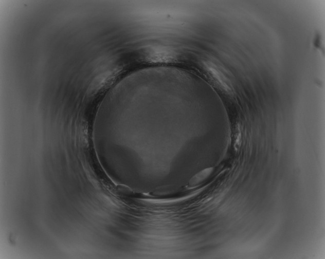 X0000091890547200709051345