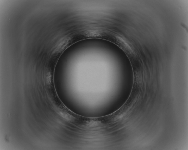 X0000091890549200709051345