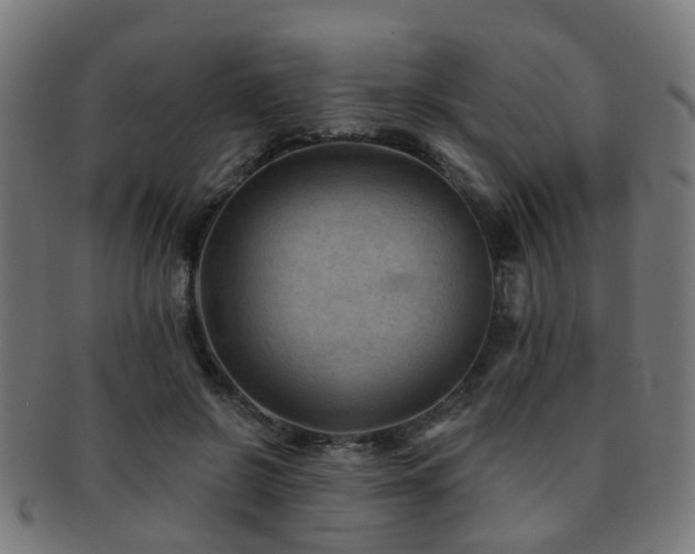 X0000091890550200709051345