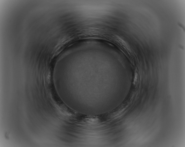 X0000091890552200709051345