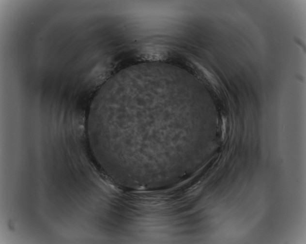 X0000091890553200709051345