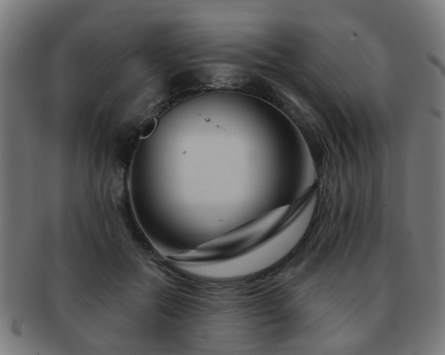 X0000091890554200709051345