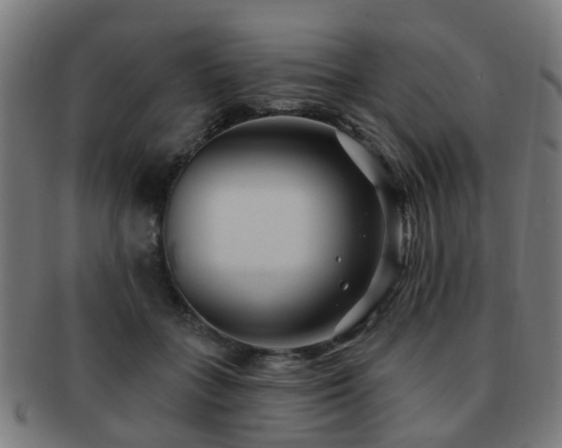 X0000091890555200709051345