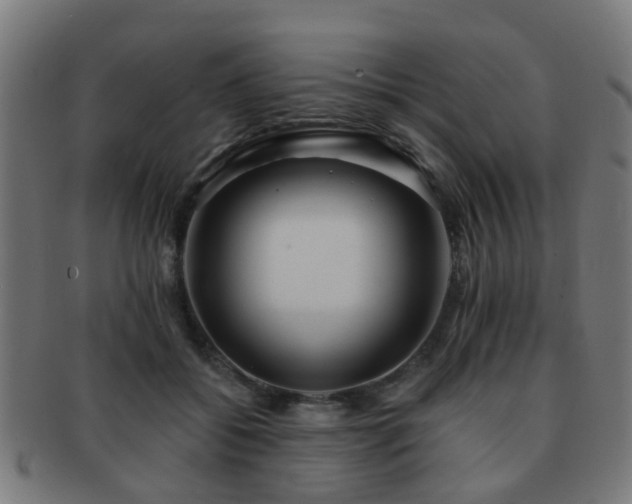 X0000091890556200709051345