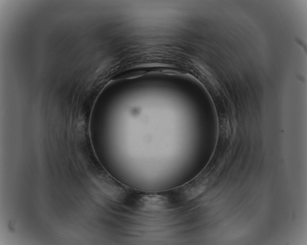 X0000091890557200709051345