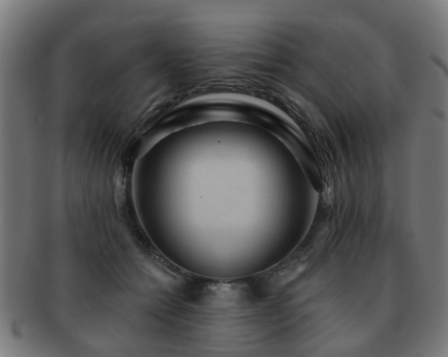 X0000091890558200709051345
