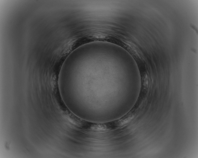 X0000091890559200709051345