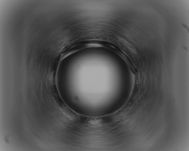 X0000091890560200709051345