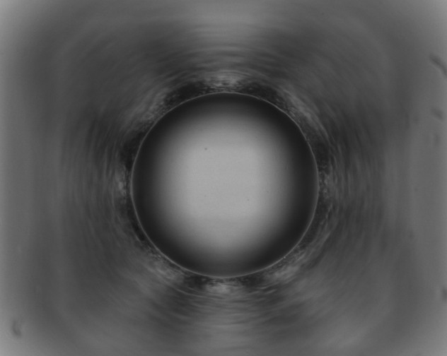 X0000091890561200709051345